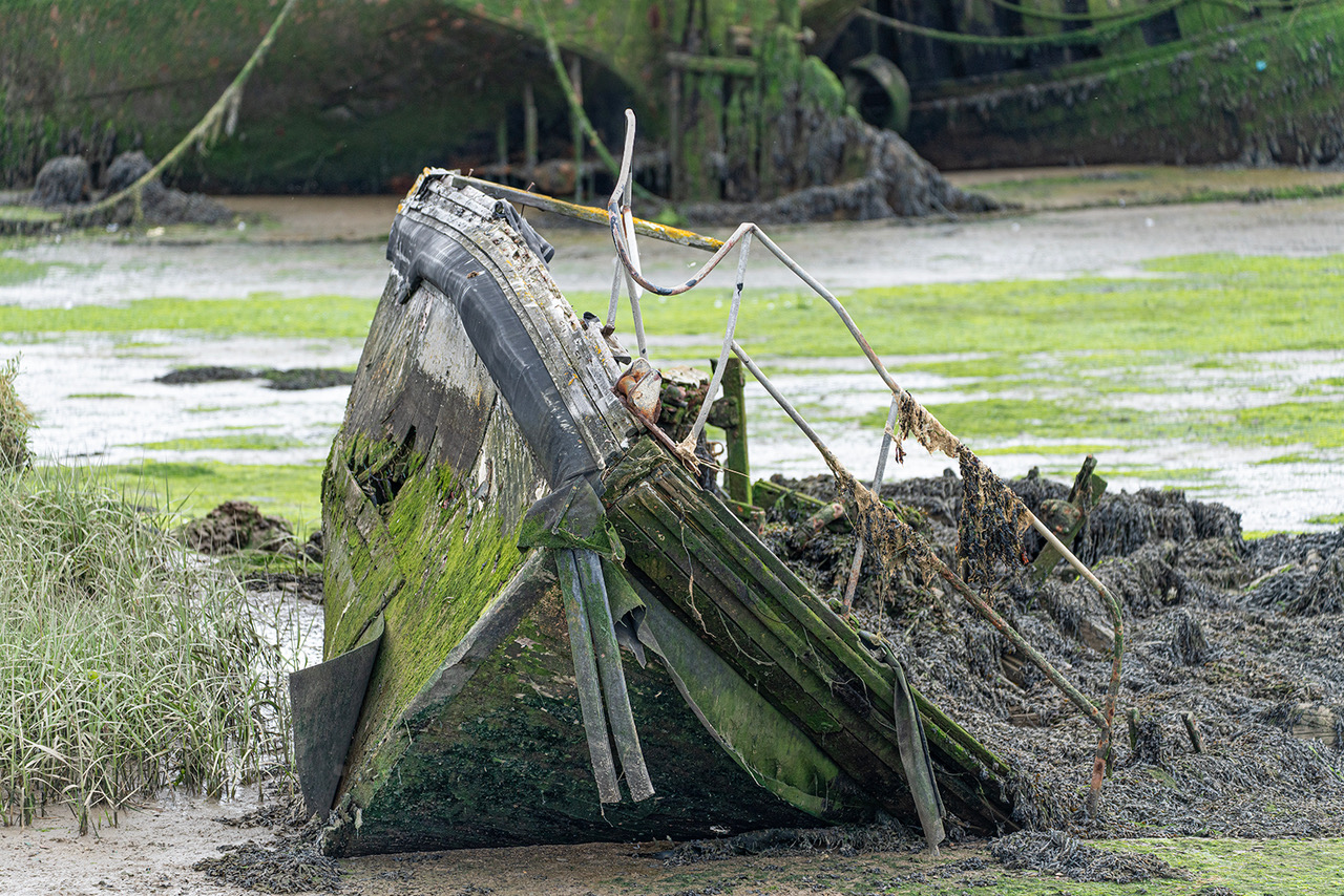 DERELICT BOATS 1 by Chris Rogers