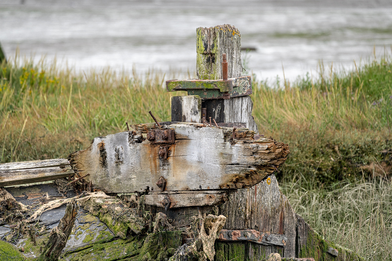 DERELICT BOATS 4 by Chris Rogers